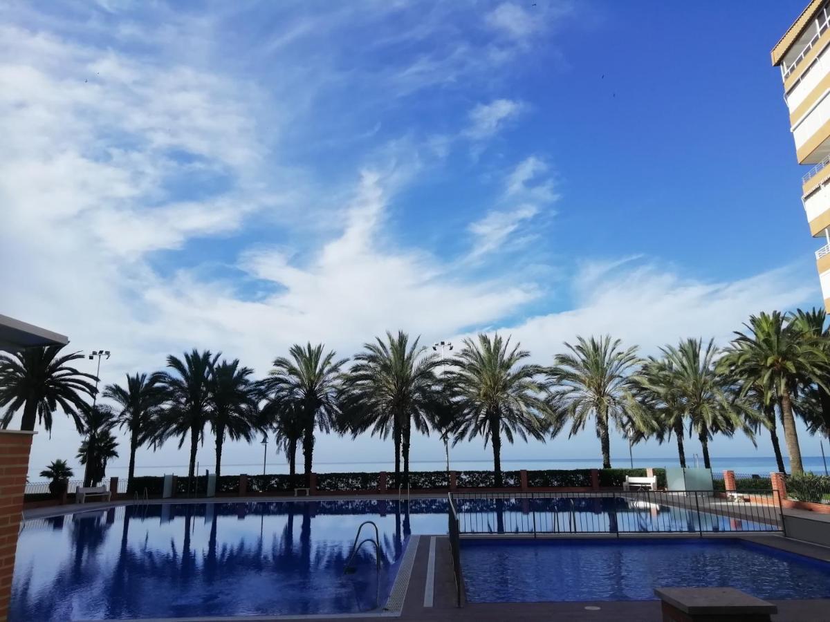Pitaya Lägenhet Algarrobo Costa Exteriör bild